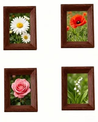 Obrázek produktu pro Sada čtyř fotolapek z ořechového dřeva, rozměry 2,5 x 3,5 cm, vhodné jako dekorace do kanceláře