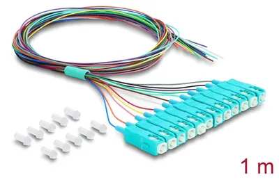Image de DeLOCK 91048, 1 m, 12 connecteurs SC, câble de raccordement