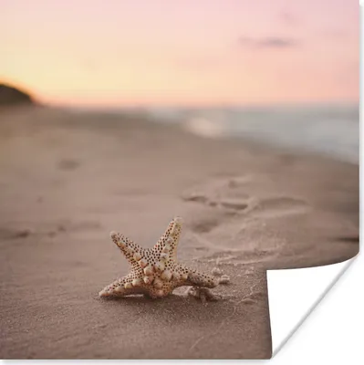 Produktbild von MuchoWow® Poster Seestern - Sand - Sonne 75x75 cm - Wand Dekoration