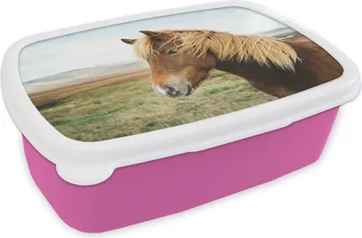 Produktbild von KitchenYeah® Lunchbox Brotzeit Brotdose 17x11 cm Pferd - Natur - Island Kinder Brotzeitdose - Lunchpaket - Brotkasten  - Sandwich Box