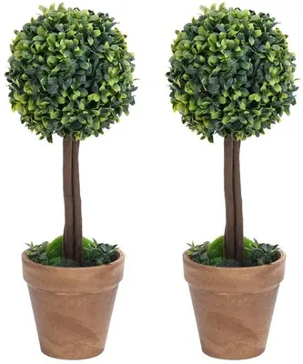Produktbild von Pflanzenset mit Topf - Set aus 2 - 33 cm - Grün