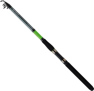Zdjęcie produktu dla Daiwa Sensor Tele Boat Bootsrute 2,70 m / 50-250 g 2,70 m