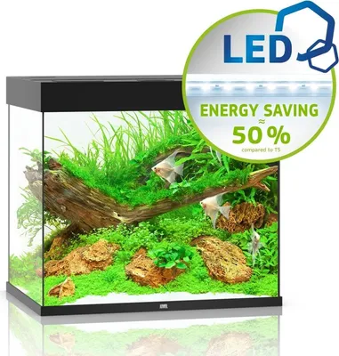 Zdjęcie produktu dla Juwel Lido 200 LED czarny - akwarium Juwel