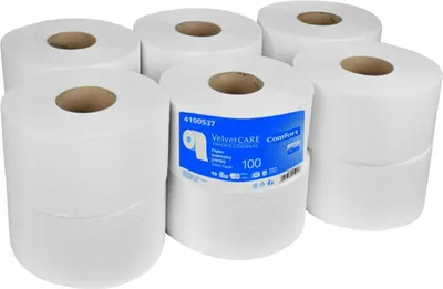 Immagine prodotto di carta igienica jumbo in cellulosa a 2 veli 800 fogli 100 m 12 pz. bianco