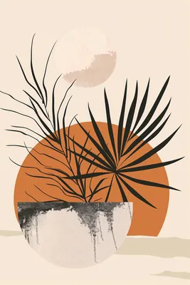 Produktbild von Poster 20x30cm Palmen Sonnenuntergang