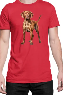 Obrázek produktu pro Pánské Tričko Dogs Breeds Vizsla Dog Breed 006, Man M / Červené