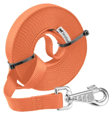 Immagine prodotto di Ferplast, guinzaglio per cani Club, lunghezza 5 metri, guinzaglio per l'addestramento, guinzaglio in nylon con moschettone