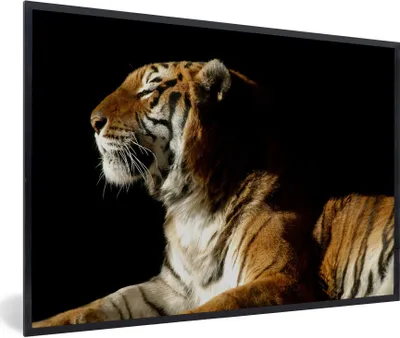 Produktbild von MuchoWow® Gerahmtes Poster Tiger - Tiere - Schwarz 60x40 cm - Poster mit Schwarzem Bilderrahmen Wandposter Rahmen Foto Bilder - Printing - Wanddeko Schlafzimmer
