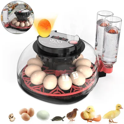 Produktbild von Brutmaschine Inkubator 12 Eier automatische Wendung Temperatursteuerung Feuchtigkeitsanzeige LED Anzeige für Huhn Wachtel Ente Zuhause