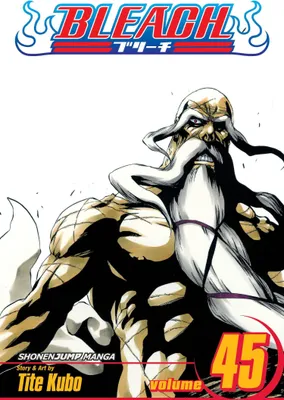 Produktbild von Bleach, Vol. 45