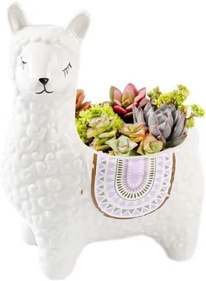 Obrázek produktu pro Keramické květináče na kaktusy – malé květináče – bílé – 114 x 76 x 14 cm