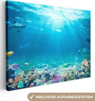 Produktbild von MuchoWow® - Leinwandbilder - Unterwasserwelt - Meerestiere - Wasser - Korallen - Blau, Wandbild, Wanddeko Bilder Wohnzimmer, 40x30 cm