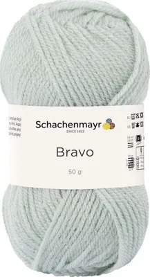 Immagine prodotto di Schachenmayr Bravo, filati per lavoro a maglia a mano da 50 g color menta