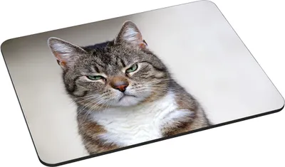 Produktbild von PEDEA Design Mauspad 22 x 18 cm, cat