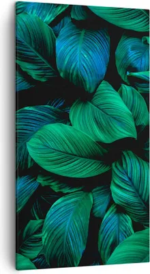 Produktbild von Bild auf Leinwand - Leinwandbild - Einteilig - Blätter Pflanzen Exotik - 45x80cm - Wand Bild - Wanddeko - Wandbilder - Leinwanddruck - Bilder - Wanddekoration - Leinwand bilder - PA45x80-5066