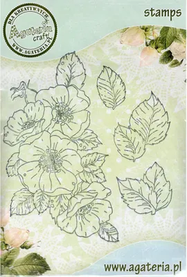 Immagine prodotto di AGATERIA - Timbro trasparente motivo timbro, Wild rose, Wild rose