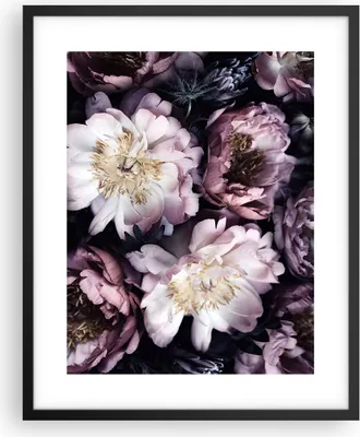 Produktbild von Gerahmtes Poster - Schwarzer Rahmen - Pfingstrosen Veilchen Blumen - 40x50 cm - Wand Bild - Wanddeko - Wandbilder - Kunstposter - Wandposter - Bilderrahmen - Bilder - Kunstdruck - P2BPA40x50-5076