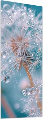 Produktbild von Glasbild 60x150cm in XXL für Wohnzimmer, Schlafzimmer Motiv Wassertropfen Pusteblume