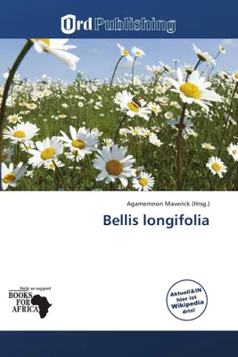 Produktbild von Bellis longifolia