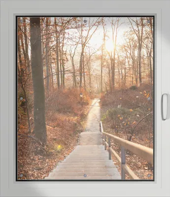 Produktbild von Wallario Lichtschutzbild, Dekorativer Sichtschutz Sonnenschutz 96 x 115 cm mit Motiv: Weg in den Sonnenuntergang - Verdunklung ohne Bohren