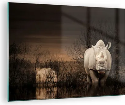 Produktbild von Bilder auf glas - Tier Nashörner Insekten - 70x50cm - Glasbilder - Wandbilder - Kunstdruck - zum Aufhängen bereit - Wanddekoration aus Glas - Glas Bilder - Wandbild auf Glas - GAA70x50-0307
