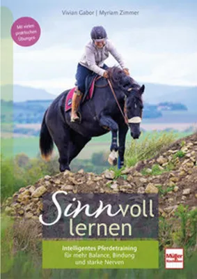Obrázek produktu pro SINNvoll lernen