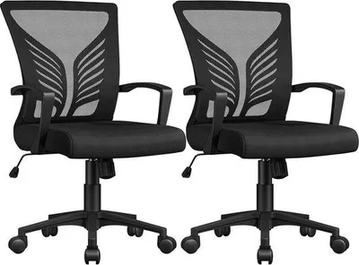 Produktbild von Famanu Ergonomischer Bürostuhl Höhenverstellbar mit Lendenstütze - Schwarz, 2 Stück