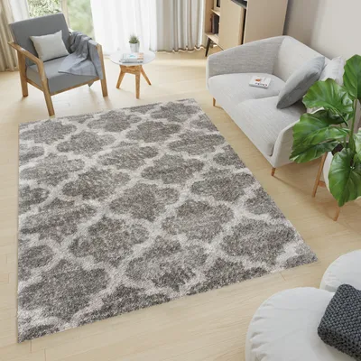 Produktbild von Teppich Wohnzimmer Schlafzimmer Meliert Modern Design Shaggy Hochflor Langflor Grau  120 x 170 cm