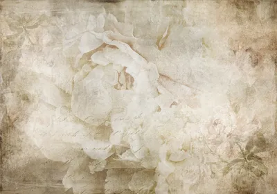 Produktbild von Vlies Fototapete Blumen 450x315 cm Tapeten Wandtapete XXL Natur Botanik Pflanzen Rosen beige b-C-0946-a-a