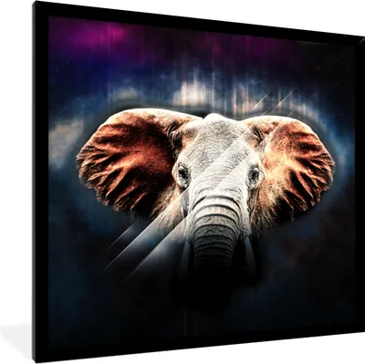 Produktbild von MuchoWow® MuchoWow® Gerahmtes Poster Elefant - Linie - Farben 40x40 cm - Poster mit zchwarzem Bilderrahmen - Mit Rahmen - Wanddekoration Schlafzimmer