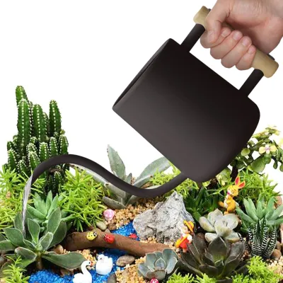Immagine prodotto di Annaffiatoio per piante da interno con beccuccio lungo