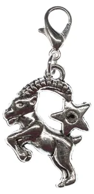 Produktbild von Steinbock Charm Miniblings Anhänger Bettelanhänger Stern Sternzeichen Horoskop