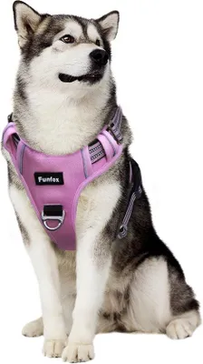 Produktbild von Famanu Hundegeschirr Anti-Zieh-Harnes, Verstellbar, Atmungsaktiv - Rosa, L