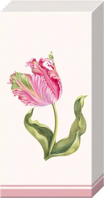 Produktbild von Papiertaschentücher "Driselle"