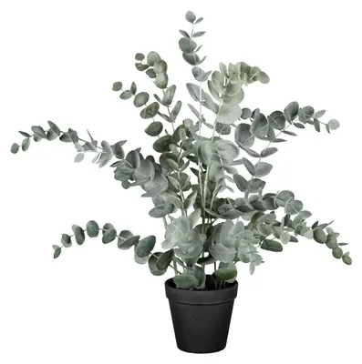 Produktbild von CREATIV green künstlicher Eukalyptus 53cm im schwarzen Kunststofftopf, künstliche Zimmerpflanzen wie echt