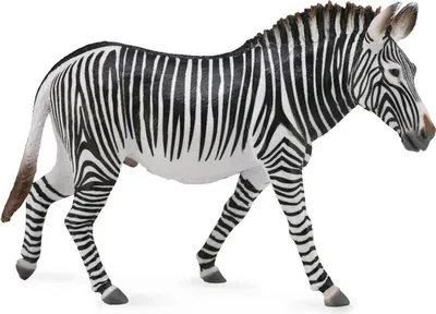 Produktbild von Zebra Grevy XL - Tierfigur