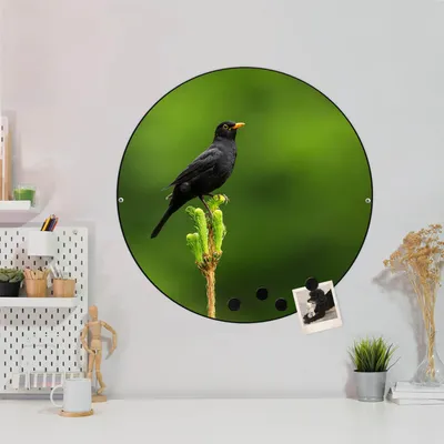 Produktbild von Design Stahlmagnettafel Schwarz Rund 47cm Vogel auf Tannenzweig
