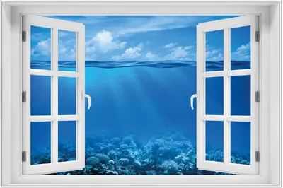 Produktbild von Wallario Wandbild mit Fenster-Illusion: Unterwasserwelt Meer, Größe: 61 x 91,5 cm, Poster mit weißem Aluminiumrahmen