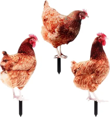 Produktbild von 3er Set Acryl Huhn Gartenstecker Gartendeko Rasenfigur Hof-Dekoration
