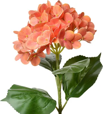 Obrázek produktu pro Clayre & Eef umělá květina hortenzie 68 cm oranžová plastová