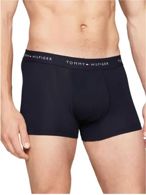 Obrázok produktu pre Tommy Hilfiger Boxer briefs UM0UM027630W3 in Multicolored color size large
