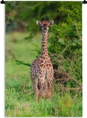 Produktbild von MuchoWow® Wandteppich Wandbehang Baby - Giraffe - Pflanzen 90x135 cm Tapisserie Dekoration Wandtuch - Baumwolle - Wandskulptur