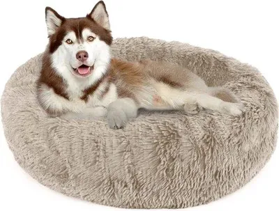 Immagine prodotto di Grande cuccia per cani