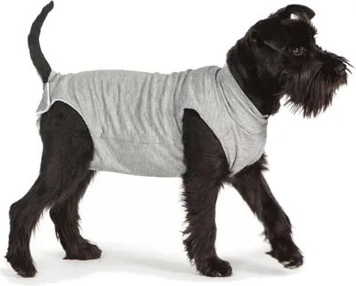 Produktbild von Fashion Dog Cura Pets Wundschutz-Body für Hunde und Katzen Ladies - 65 cm