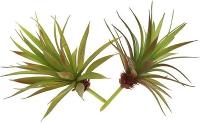 Image de Lot de 2 succulentes artificielles en plastique, vert et couleurs d'automne, pour la décoration de la maison et du jardin