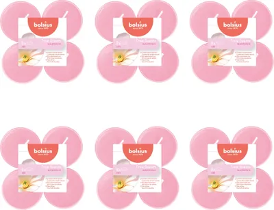 Produktbild von Bolsius - True Scents - Maxi - Duft-Teelichter - 8 Stück pro Packung - Klare Tasse - Magnolie - Vorteilspack - 48 Stücke - 6 Verpackung