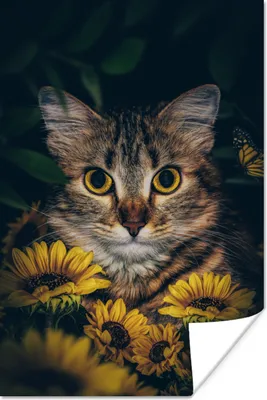 Produktbild von MuchoWow® Poster Katze - Gelb - Blumen - Botanisch 120x180 cm - Kunstposter
