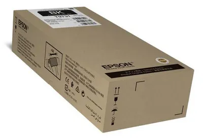 Image de Epson T9731 - 402,1 ml - taille XL - noir - original - pack d'encre - pour WorkForce Pro WF-C869R (C13T97310N)