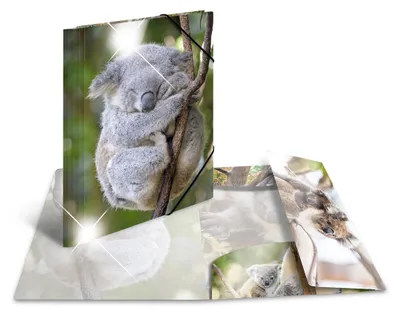 Immagine prodotto di HERMA Sammelmappe A4 Glossy Koala Polypropylen
