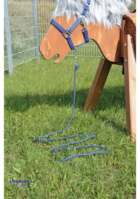Obrázok produktu pre EDUPLAY 160259 Vodiace lano 2,5 m, polyester, modré
